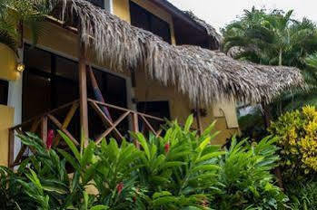 Hotel Banana Palms 4*